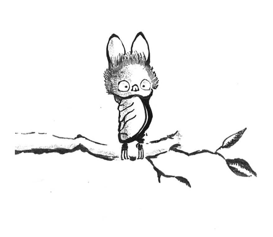 294583046_1540669886351264_3538785807110292493_n-1