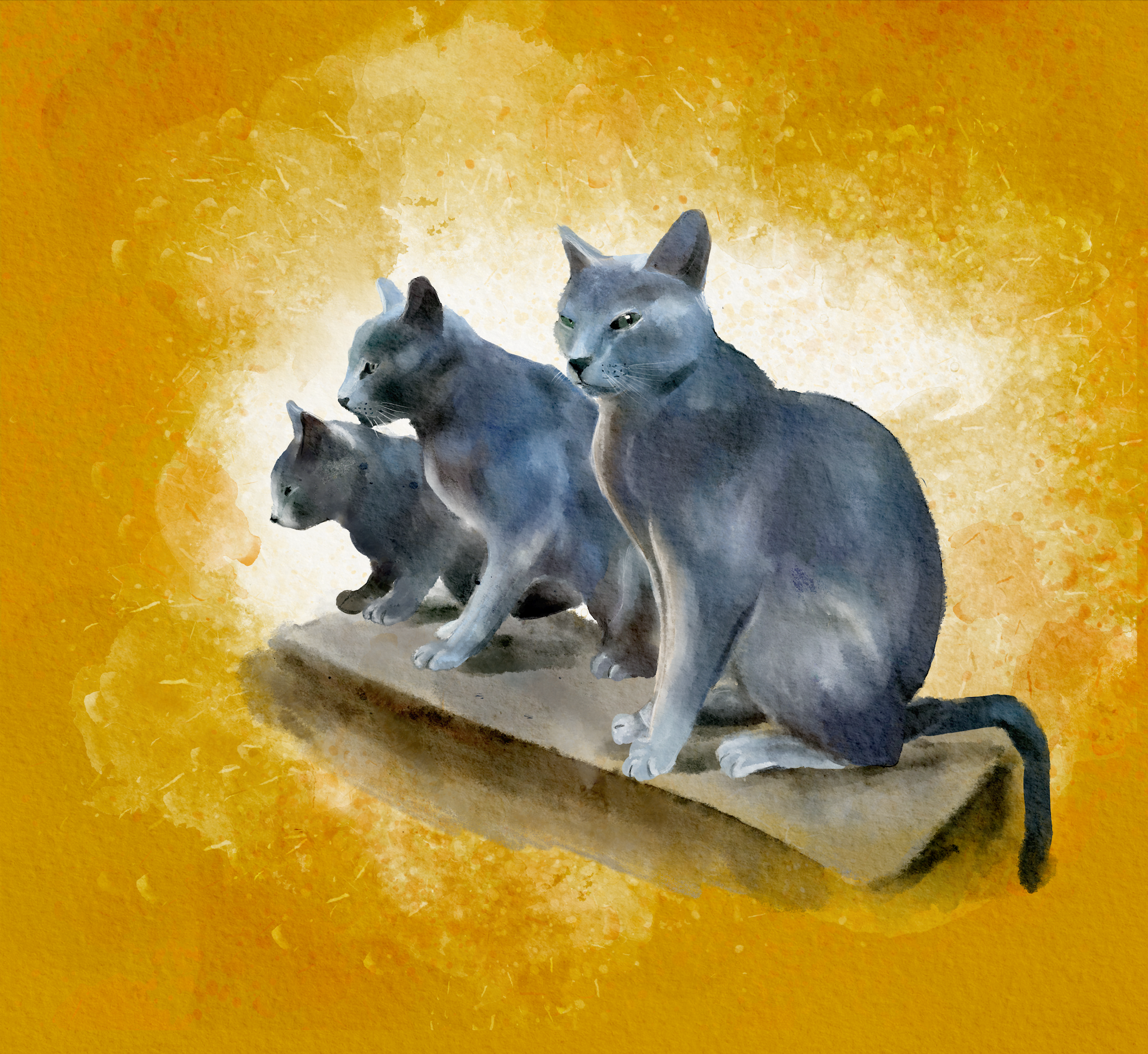 Capture-decran-2023-05-30-a-18.42.35